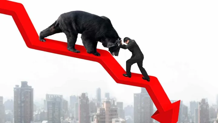 What to do during a bear market or a recession?